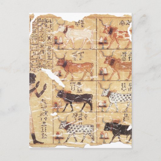 Boek van de Dead-Maiherperi-1479bc Briefkaart (Voorkant)