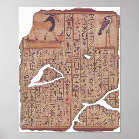 Boek van de doden - Ani Poster (Voorkant)