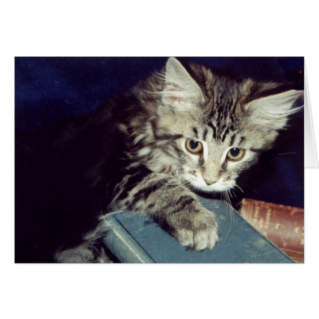 Boeken en katten (Voorkant Horizontaal)