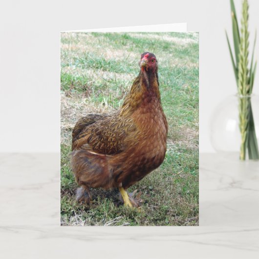 Boeken Kaart (Voorkant)