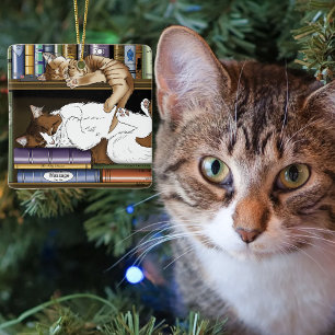 Boekenkast Illustratie met Knuffelende Slaapkatten Keramisch Ornament
