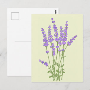 Boeket lavendelbloemen. briefkaart