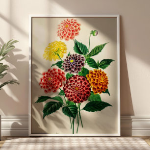 Boeket met bloemen Botanische illustratie Poster