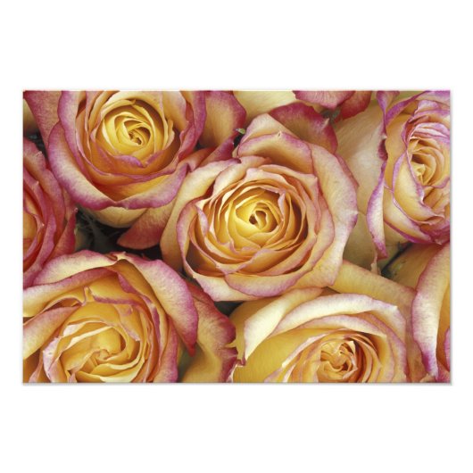 Boeket rozen foto afdruk (Voorkant)