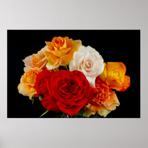 Boeket Rozen op zwart Poster