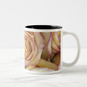 Boeket rozen tweekleurige koffiemok