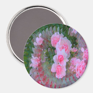 Boeket van baby roze rozen..... magneet