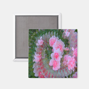 Boeket van baby roze rozen..... magneet