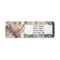 Boeket van Cherry Blossoms bij het raam