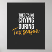 Boekhoudkundige accountant poster (Voorkant)