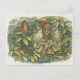  boekillustratie van fee, uilen en vogel briefkaart