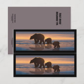 Boekmarkers voor poolBeren Briefkaart (Voorkant / Achterkant)