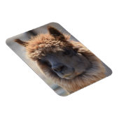 BOEKWEIT MAGNEET (Rechterzijde)