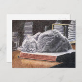 Boekwinkel Cat Briefkaart (Voorkant / Achterkant)