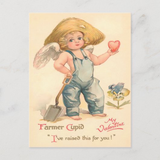  boer Cupido Valentijn Briefkaart (Voorkant)