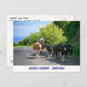 Boer en koeien briefkaart (Voorkant / Achterkant)