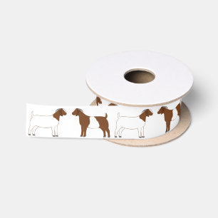 Boer Goat Boerderij White Lint