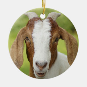 Boer Goat Nanny Kind Keramisch Ornament