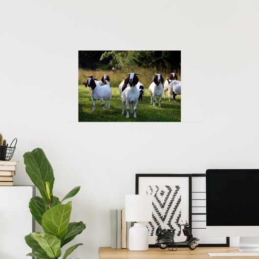 Boer Goat The Gangs All Here Poster Imprimer (Bureau à domicile)
