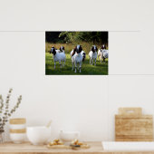 Boer Goat The Gangs All Here Poster Imprimer (Cuisine)