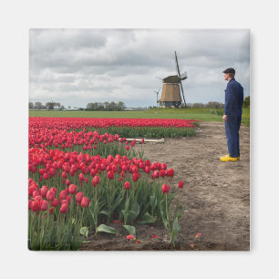 Boer inspecteert zijn tulpen en windmolen magneet