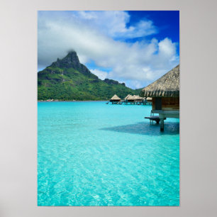 Boerbekkens op verticaal poster Bora Bora Bora