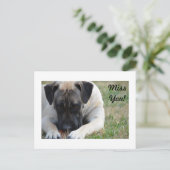 Boerboel Briefkaart (Staand voorkant)