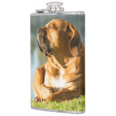 Boerboel Heupfles (Links)