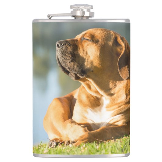 Boerboel Heupfles (Voorkant)