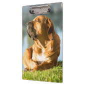 Boerboel Klembord (Links)