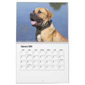 Boerbol chien Calendrier (Feb 2026)