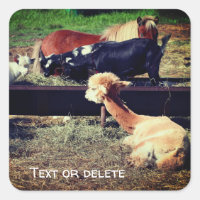 Boerderij Animal Friends Natuur - Gepersonaliseerd