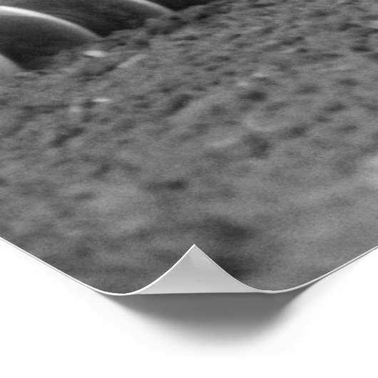 Boerderij Beveiligingsbeheer afdrukken Poster (Hoek)