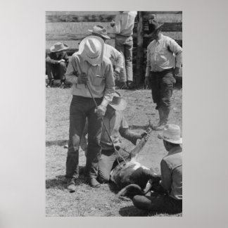  Boerderij Beveiligingsbeheer afdrukken Poster