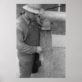  Boerderij Beveiligingsbeheer afdrukken Poster