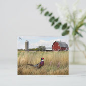 Boerderij Briefkaart (Staand voorkant)