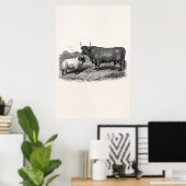 Boerderij Bull Sheep Illustration Retro van de 18 Poster (Thuiskantoor)