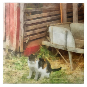 Boerderij Cat Tegeltje