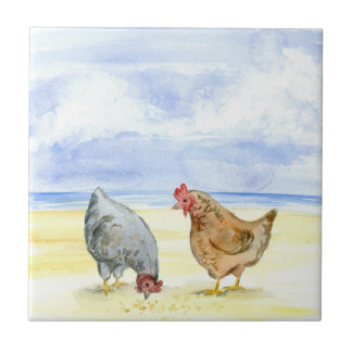 BOERDERIJ-CHICKEN-TIL, LOVELY HENS EAT TEGELTJE