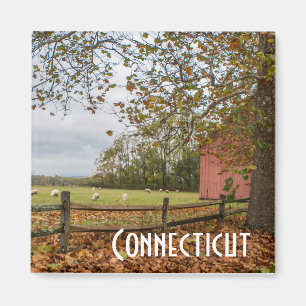Boerderij Connecticut Herfst Magnet Magneet