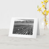 Boerderij, de Arbeiders van het Boerderij, Mt. Kaart (Gele Bloem)