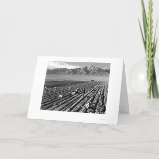 Boerderij, de Arbeiders van het Boerderij, Mt. Kaart