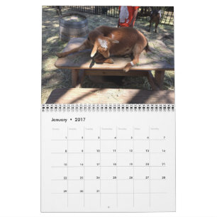 Boerderij dierkalender kalender