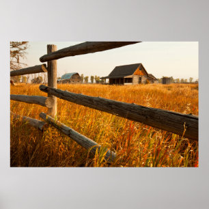 Boerderij- en spooromheining in Grand Teton Poster