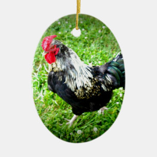 Boerderij Fowl Keramisch Ornament