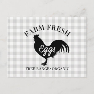 Boerderij Fresh Chicken Country Gingham Briefkaart