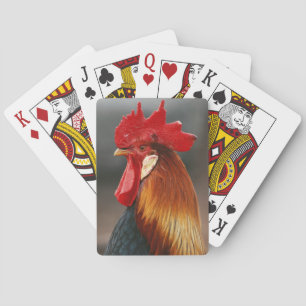 Boerderij gedomesticeerde haan pokerkaarten