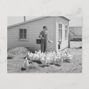 Boerderij Girl Feeding Chickens, 1936 Briefkaart