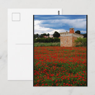 Boerderij in het klaprozenveld Portret Briefkaart