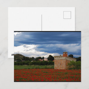 Boerderij in klaprozenveld briefkaart